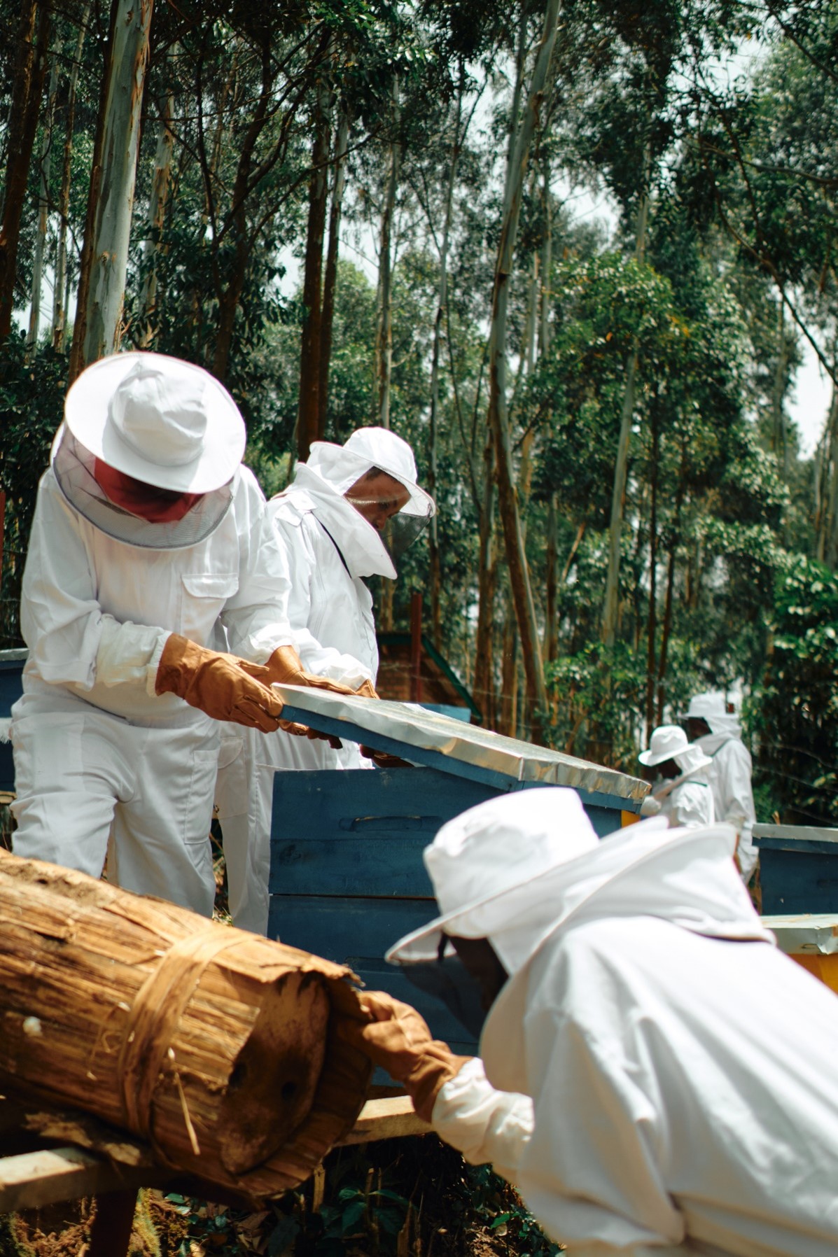 “女性养蜂人” 项目进驻卢旺达 藉助养蜂培训和科学支持赋权当地女性