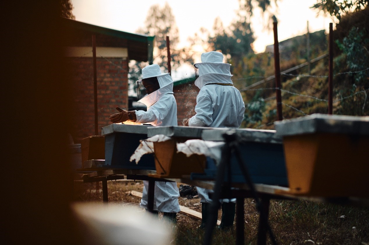 “女性养蜂人” 项目进驻卢旺达 藉助养蜂培训和科学支持赋权当地女性